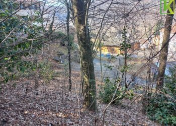 Foto 6 - Terreno edificabile Via Case di Sopra
 
snc, Valganna - foto 6