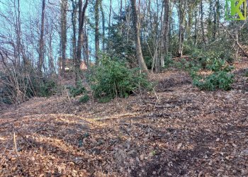 Foto 9 - Terreno edificabile Via Case di Sopra
 
snc, Valganna - foto 9