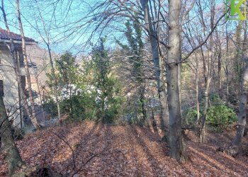 Foto 12 - Terreno edificabile Via Case di Sopra
 
snc, Valganna - foto 12