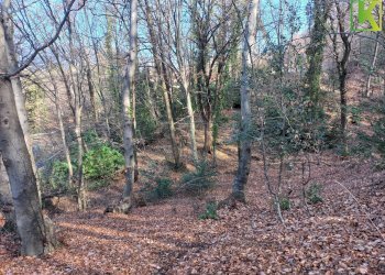 Foto 13 - Terreno edificabile Via Case di Sopra
 
snc, Valganna - foto 13