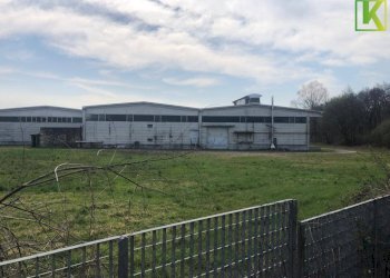 Foto 2 - Capannone Mornago - foto 2