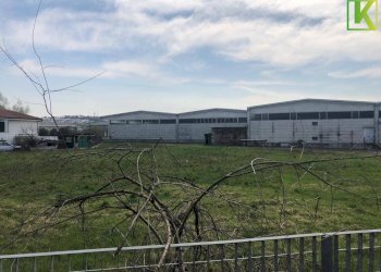 Foto 3 - Capannone Mornago - foto 3