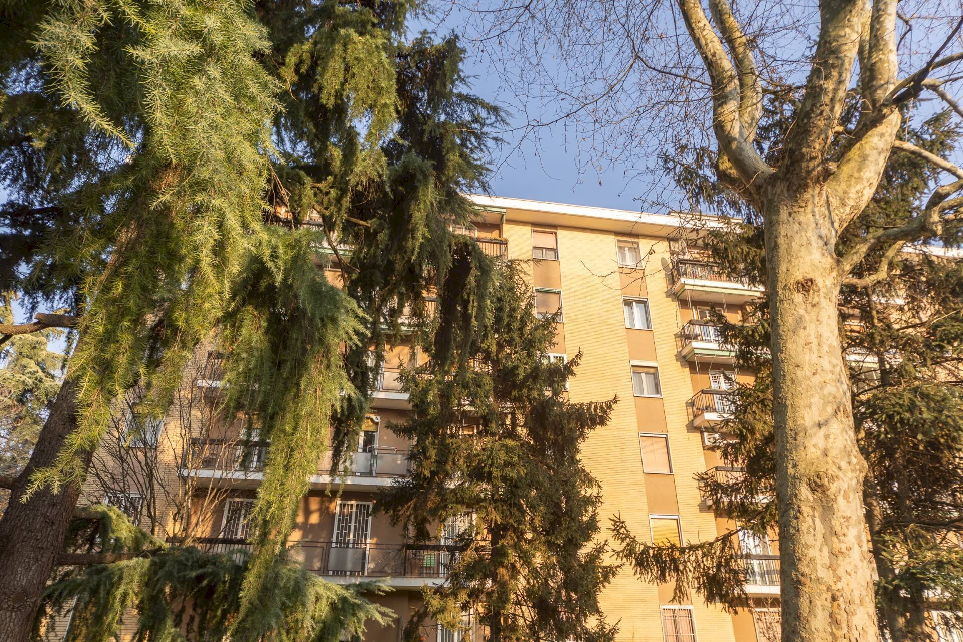 Foto 3 - Trilocale Via Federico Chopin
 
45, Milano - foto 3