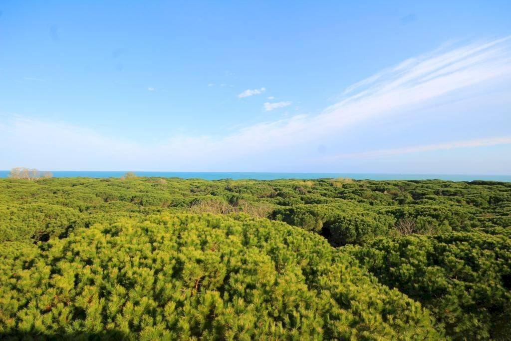 Foto 1 - Trilocale Eraclea - foto 1