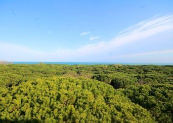 Foto 1 - Trilocale Eraclea - foto 1