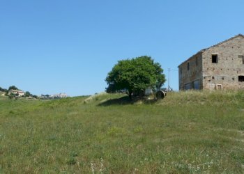 Foto 8 - Independent house Monteprandone - photo 8