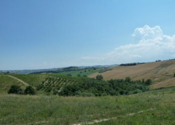 Foto 9 - Independent house Monteprandone - photo 9