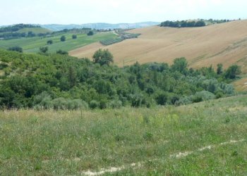 Foto 10 - Independent house Monteprandone - photo 10