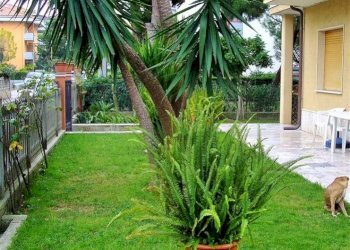 Foto 24 - Appartamento Martinsicuro - foto 24