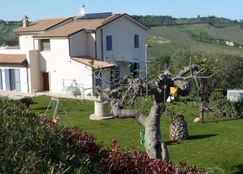 Foto 1 - Villa Monteprandone - photo 1