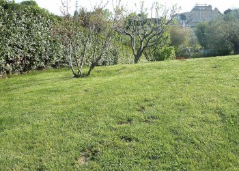 Foto 18 - Villa Monteprandone - photo 18