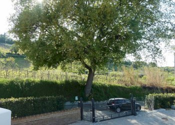 Foto 28 - Villa Monteprandone - photo 28