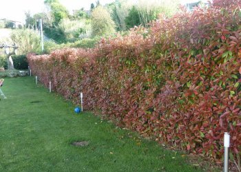 Foto 29 - Villa Monteprandone - photo 29