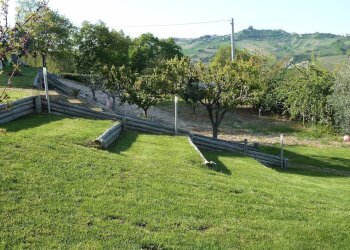 Foto 33 - Villa Monteprandone - photo 33