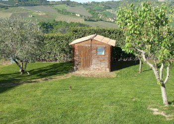 Foto 34 - Villa Monteprandone - photo 34