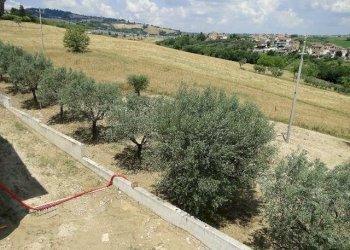 Foto 72 - Villa Campli - photo 72