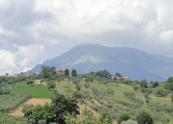 Foto 83 - Villa Campli - photo 83