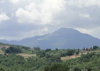 Foto 84 - Villa Campli - photo 84