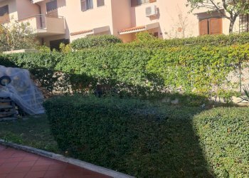 Foto 30 - Villa a Schiera Folignano - foto 30