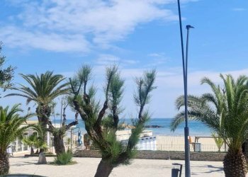 Foto 3 - Three-room apartment San Benedetto del Tronto - photo 3