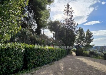 Foto 11 - Villa San Benedetto del Tronto - photo 11