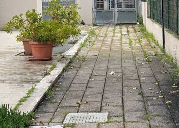 Foto 6 - Warehouse San Benedetto del Tronto - photo 6