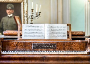 Foto 18 - Stabile - Palazzo Piazza del Popolo
 
29, San Miniato - foto 18