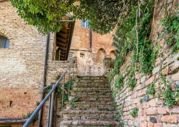 Foto 79 - Stabile - Palazzo Piazza del Popolo
 
29, San Miniato - foto 79