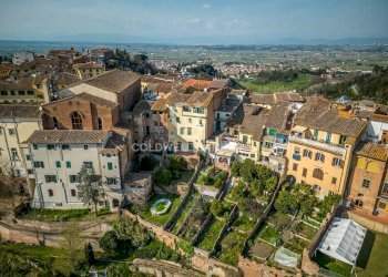 Foto 92 - Stabile - Palazzo Piazza del Popolo
 
29, San Miniato - foto 92