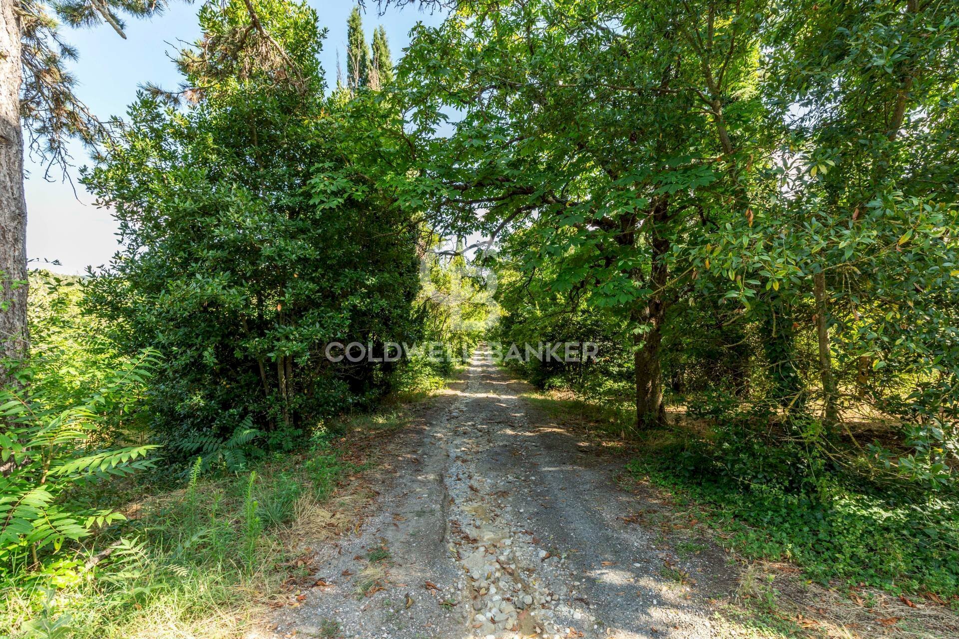 Foto 3 - Rustico Strada Poggi, Orvieto - foto 3