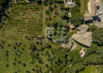 Foto 18 - Rustico Strada Poggi, Orvieto - foto 18