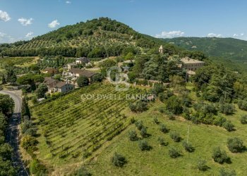 Foto 24 - Rustico Strada Poggi, Orvieto - foto 24