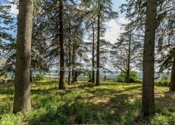 Foto 27 - Rustico Strada Poggi, Orvieto - foto 27