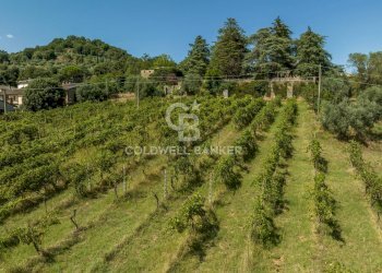 Foto 45 - Rustico Strada Poggi, Orvieto - foto 45