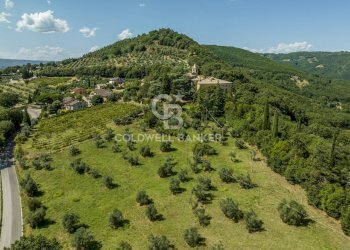 Foto 49 - Rustico Strada Poggi, Orvieto - foto 49