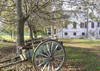 Foto 7 - Villa Via Molza
 
19, Nonantola - foto 7