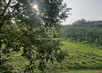 Foto 13 - Villa Via Molza
 
19, Nonantola - foto 13