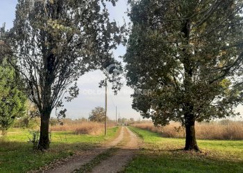 Foto 28 - Villa Via Molza
 
19, Nonantola - foto 28