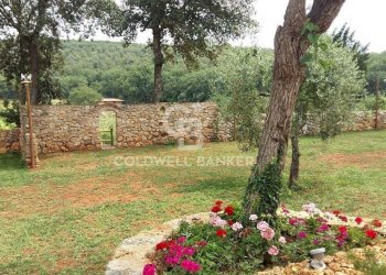 Foto 12 - Rustic Strada Provinciale 47, San Gimignano - photo 12