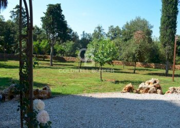 Foto 16 - Rustic Strada Provinciale 47, San Gimignano - photo 16