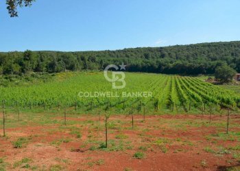 Foto 18 - Rustic Strada Provinciale 47, San Gimignano - photo 18