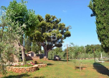 Foto 19 - Rustic Strada Provinciale 47, San Gimignano - photo 19