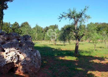 Foto 20 - Rustic Strada Provinciale 47, San Gimignano - photo 20