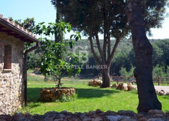 Foto 22 - Rustic Strada Provinciale 47, San Gimignano - photo 22