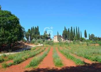 Foto 23 - Rustic Strada Provinciale 47, San Gimignano - photo 23