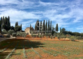 Foto 31 - Rustic Strada Provinciale 47, San Gimignano - photo 31