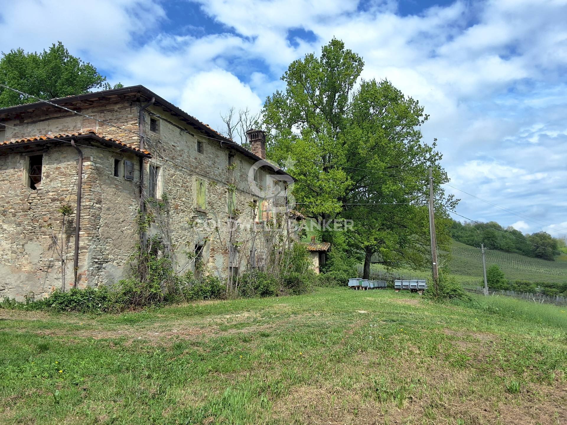 Foto 2 - Castello Via guerro di qua, Castelvetro di Modena - foto 2
