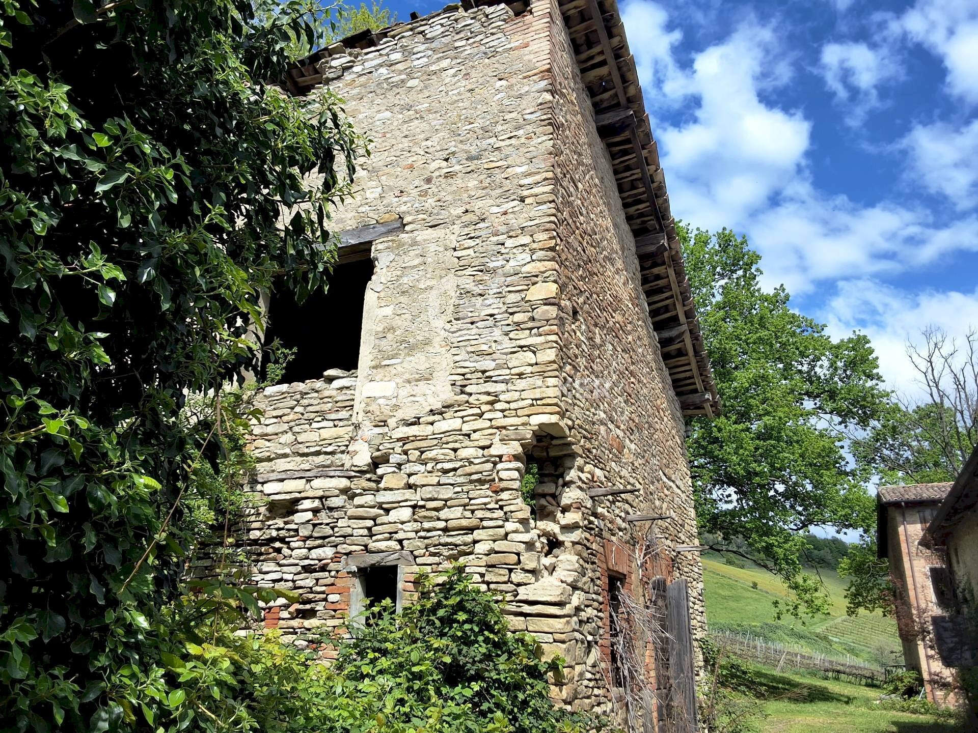 Foto 3 - Castello Via guerro di qua, Castelvetro di Modena - foto 3