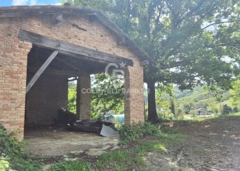 Foto 5 - Castello Via guerro di qua, Castelvetro di Modena - foto 5