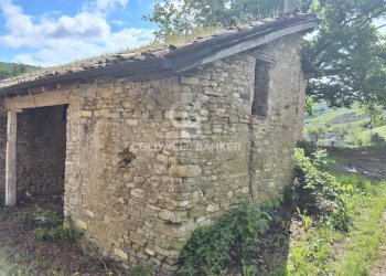 Foto 6 - Castello Via guerro di qua, Castelvetro di Modena - foto 6